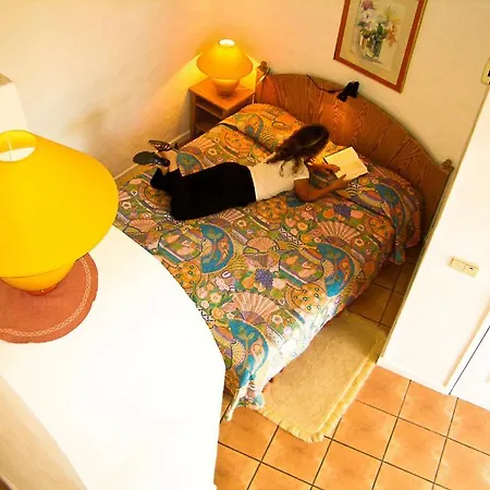 Aparthotel Opuntia 4*