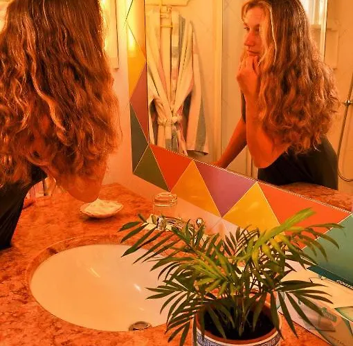 Opuntia 4* Канису